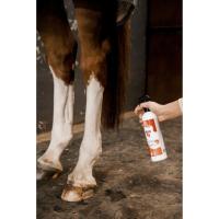 REKOR - ULTRAFLY Répulsif Insecticide Cheval Longue Durée