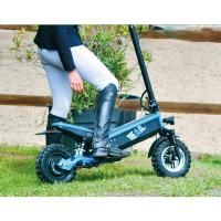 BEEPER - Trottinette Electrique Cavalier Pliante Chemins et Route TRAIL 