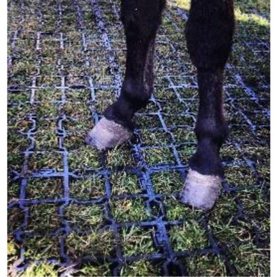 Dalles de stabilisation chevaux, Dalles Hors'sol 3 cm
