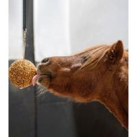 LIKIT- Boule à muesli à suspendre pour le Cheval au box, 1.6KG