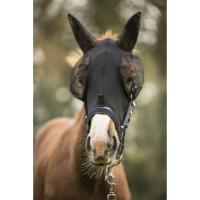 LAMI-CELL - Flymask Intégral avec ZIP Taille poulain à Cheval