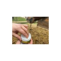 ANIMADERM- Crème de Protection Solaire du Cheval SOLAREN