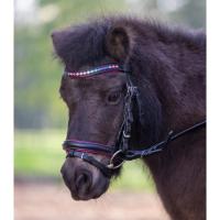 WALDHAUSEN - Bridon  Strass Colors pour Poney, SHETLAND, MINI Shetland  PINKY STAR