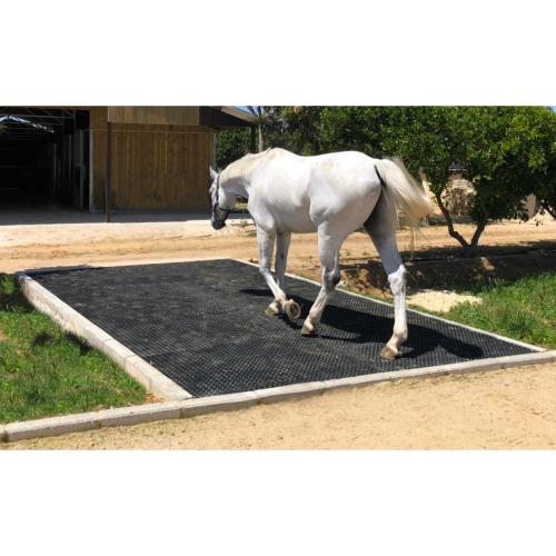 LIKIT - Balle de Distraction SNACK-A-BALL pour Cheval au Box